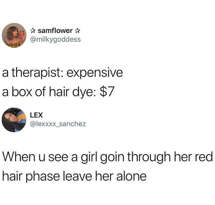 do people do in the shower meme - samflower a therapist expensive a box of hair dye $7 Lex When u see a girl goin through her red hair phase leave her alone