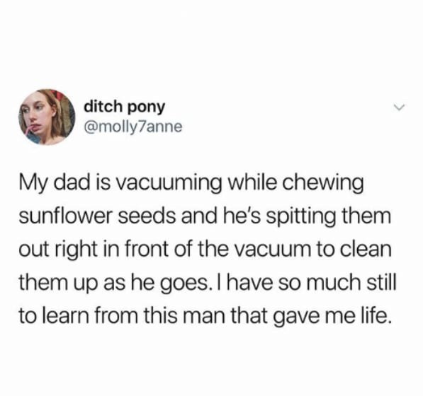 memes - if you start watching meme - ditch pony My dad is vacuuming while chewing sunflower seeds and he's spitting them out right in front of the vacuum to clean them up as he goes. I have so much still to learn from this man that gave me life.
