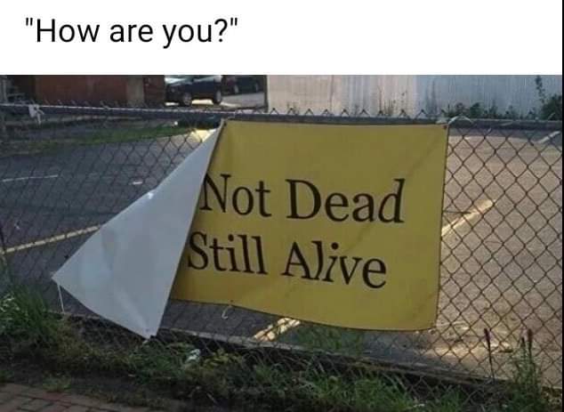 not dead still alive meme - "How are you?" Not Dead Still Alive