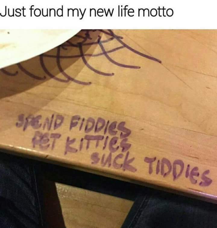 meme spend fiddies pet kitties suck tiddies - Just found my new life motto SjCNP FIDDies Pot Kituck Tiddies