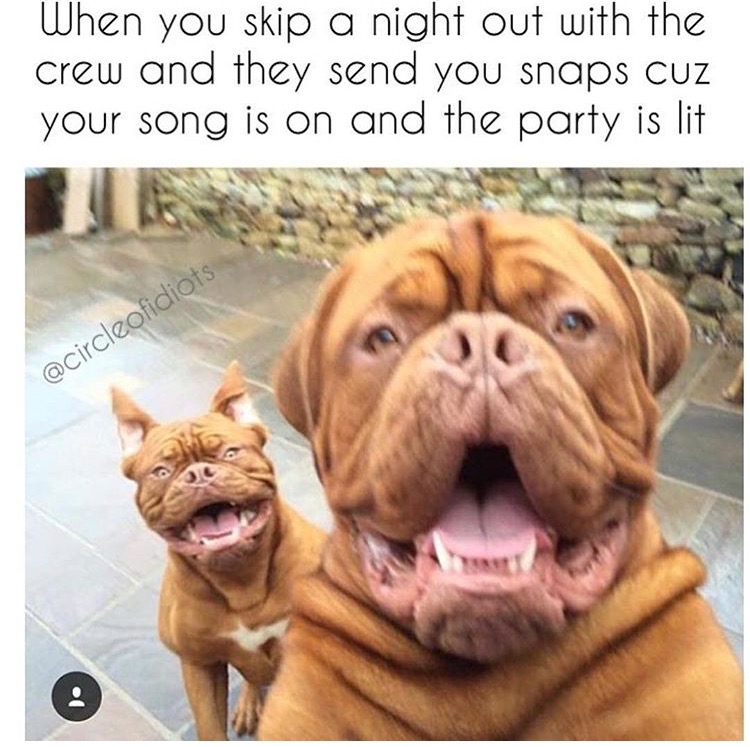 meme funny fomo meme - When you skip a night out with the crew and they send you snaps Cuz your song is on and the party is lit