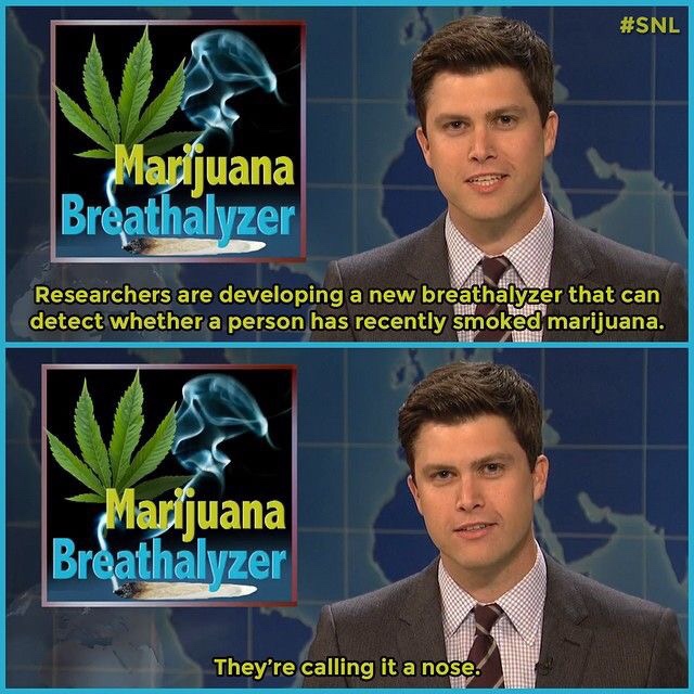 Humour - Marijuana Breathalyzer Researchers are developing a new breathalyzer that can detect whether a person has recently smoked marijuana. Marijuana Breathalyzer They're calling it a nose.
