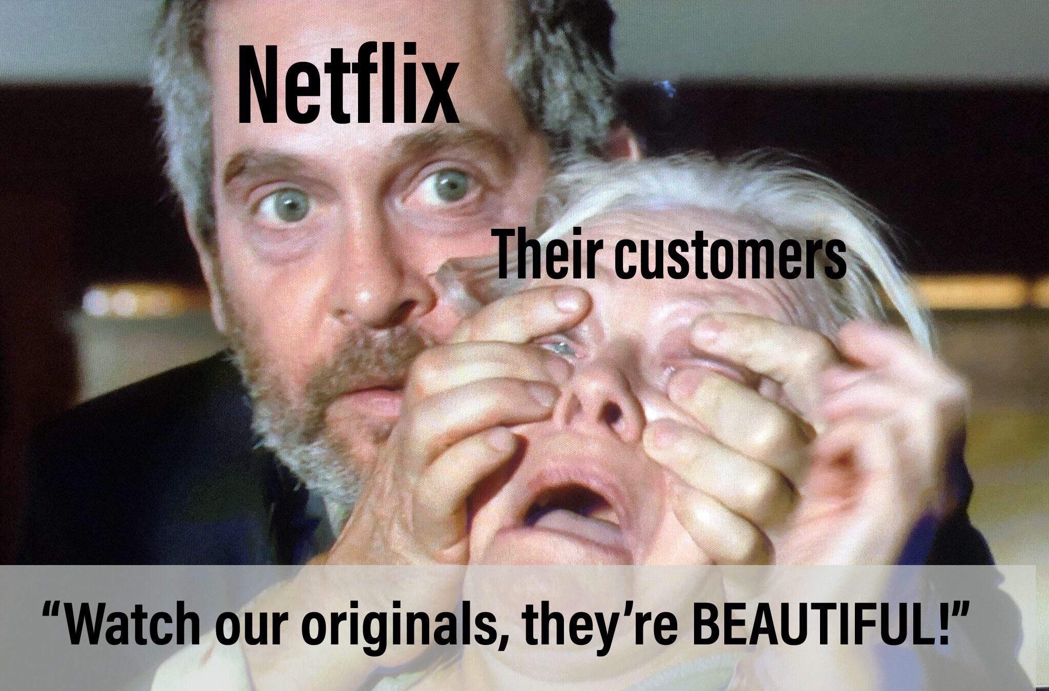 bird box meme template - Netflix Their customers "Watch our originals, they're Beautiful!"