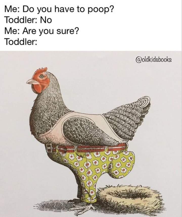 toddler poop chicken meme - Me Do you have to poop? Toddler No Me Are you sure? Toddler