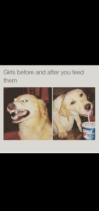 before and after you feed her meme - Girls before and after you feed them