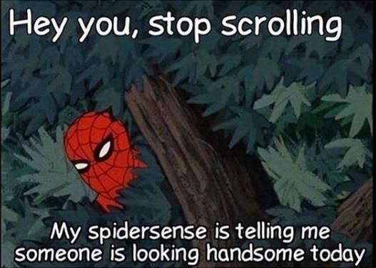 stop scrolling meme - Hey you, stop scrolling My Spidersense is telling me someone is looking handsome today