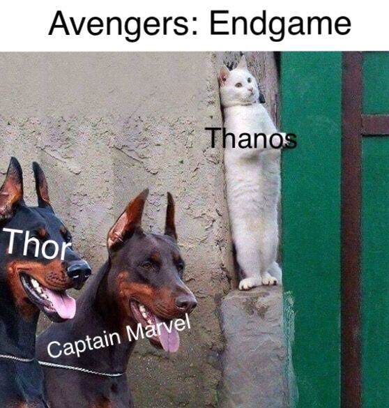 cat two doberman - Avengers Endgame Thanos Thor Captain Marvel