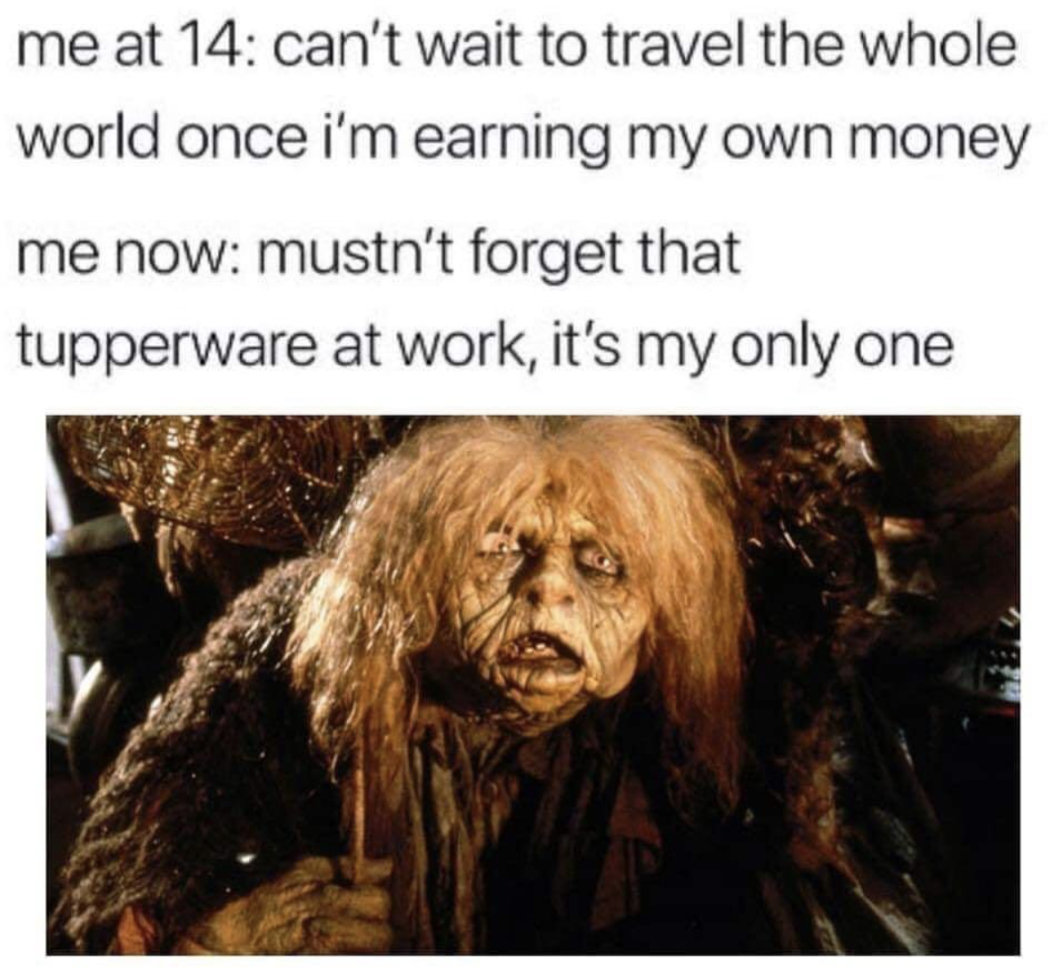 dank meme - my only tupperware meme - me at 14 can't wait to travel the whole world once i'm earning my own money me now mustn't forget that tupperware at work, it's my only one