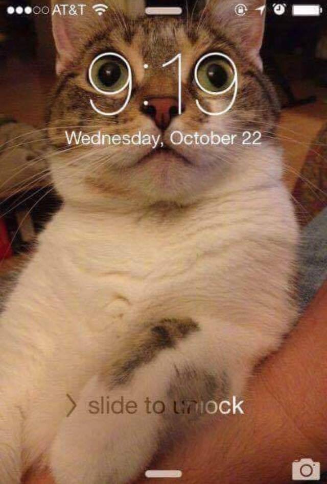 funny cats - ..00 At&T Wednesday, October 22 > slide to unlock 0
