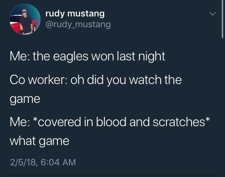 Humour - rudy mustang Me the eagles won last night Co worker oh did you watch the game Me covered in blood and scratches what game 2518,