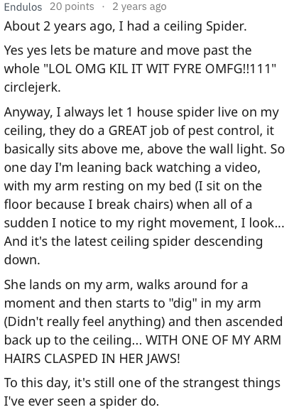 reddit memes - angle - Endulos 20 points . 2 years ago About 2 years ago, I had a ceiling Spider. Yes yes lets be mature and move past the whole "Lol Omg Kil It Wit Fyre Omfg!!111" circlejerk. Anyway, I always let 1 house spider live on my ceiling, they d