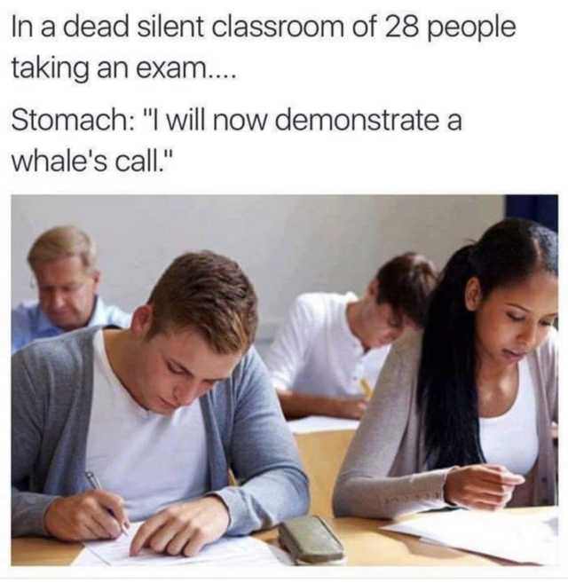 meme stomach i will now demonstrate a whale's call - In a dead silent classroom of 28 people taking an exam... Stomach "I will now demonstrate a whale's call."