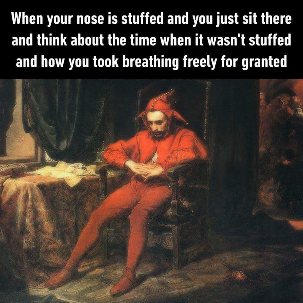 meme took breathing for granted meme - When your nose is stuffed and you just sit there and think about the time when it wasn't stuffed and how you took breathing freely for granted