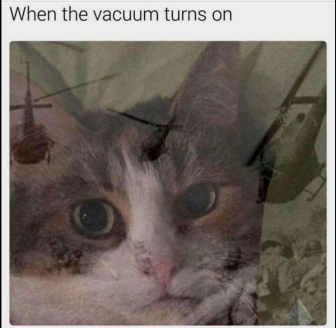 meme flashbacks meme - When the vacuum turns on