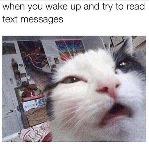 meme dank cat memes - when you wake up and try to read text messages
