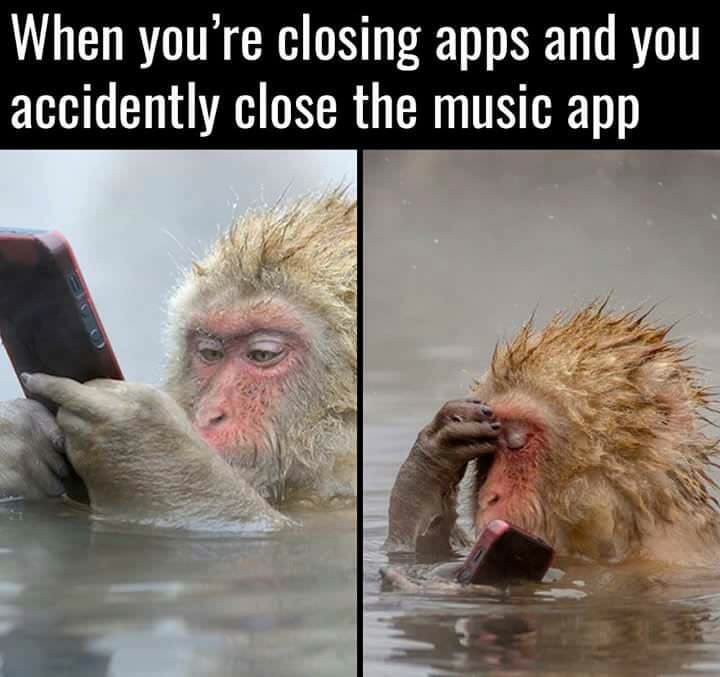 meme monkey with mobile - When you're closing apps and you accidently close the music app