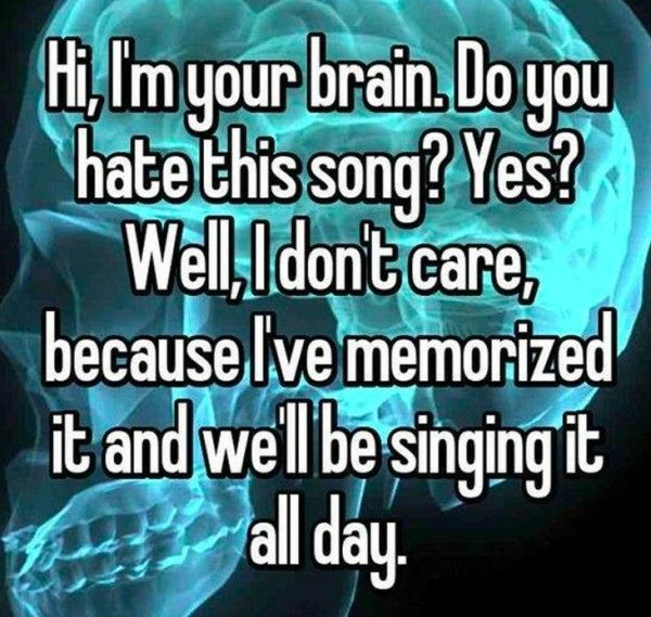 meme photo caption - Hi, Im your brain. Do you hate this song? Yes? Well, I don't care, because I've memorized it and we'll be singing it