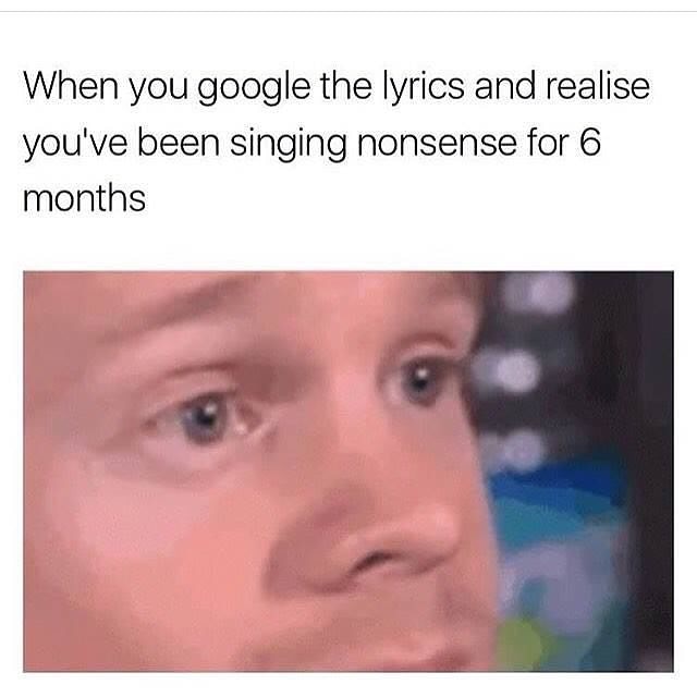 meme you google the lyrics - When you google the lyrics and realise you've been singing nonsense for 6 months