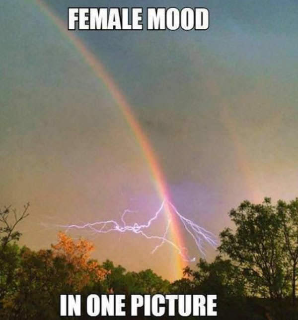 meme female mood meme - Female Mood In One Picture