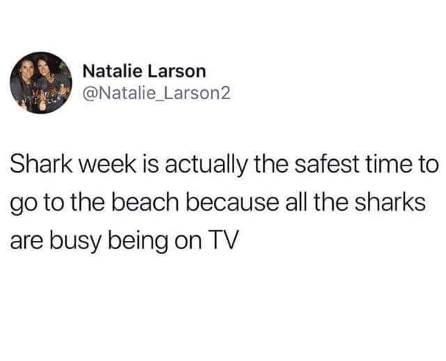 first week of pokemon go meme - Natalie Larson Larson2 Shark week is actually the safest time to go to the beach because all the sharks are busy being on Tv