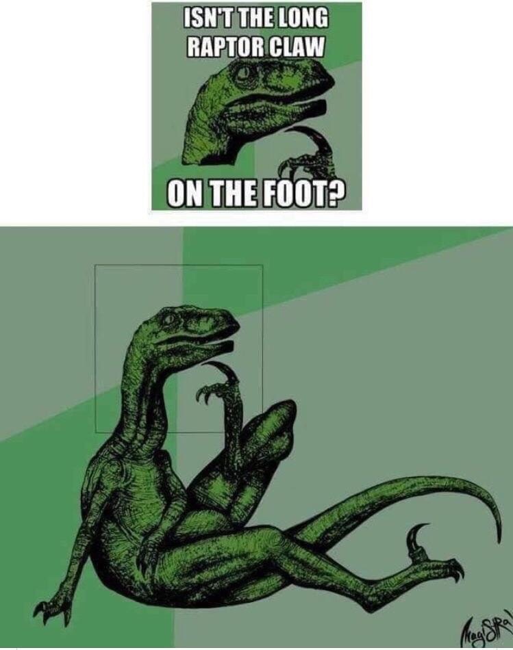 meme velociraptor - Isn'T The Long Raptor Claw On The Foot?