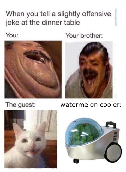 watermelon cooler meme - When you tell a slightly offensive joke at the dinner table You Your brother The guest watermelon cooler