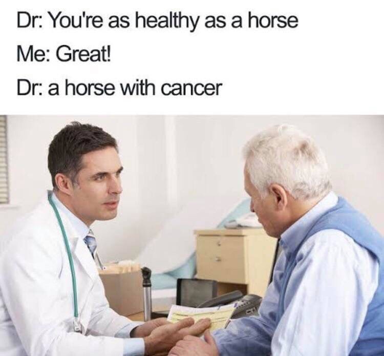 doctor memes - Dr You're as healthy as a horse Me Great! Dr a horse with cancer