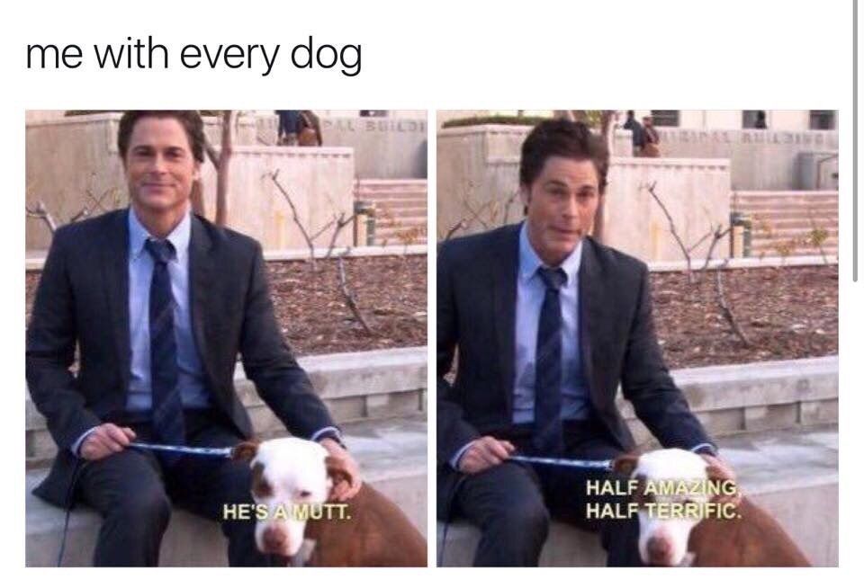 parks and rec memes - me with every dog He'S A Mutt. Half Amaz Ng Half Terrific.
