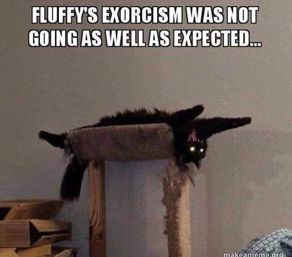 fluffy's exorcism meme - Fluffy'S Exorcism Was Not Going As Well As Expected.. Imakeameme.org