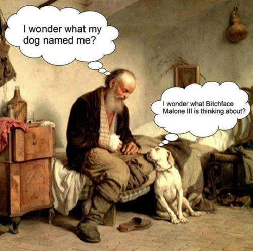 funny artist memes - I wonder what my dog named me? I wonder what Bitchface Malone Iii is thinking about?