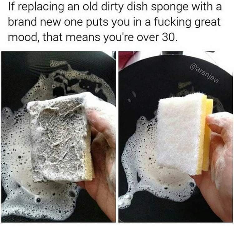 if replacing an old sponge - If replacing an old dirty dish sponge with a brand new one puts you in a fucking great mood, that means you're over 30.