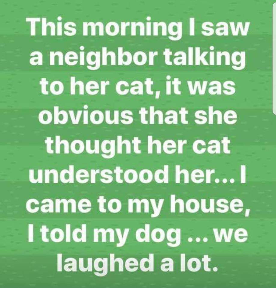 grass - This morning I saw a neighbor talking to her cat, it was obvious that she thought her cat understood her... I came to my house, I told my dog ... We laughed a lot.