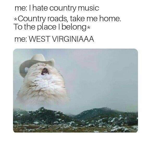hate country music meme - me I hate country music Country roads, take me home. To the place I belong me West Virginiaaa