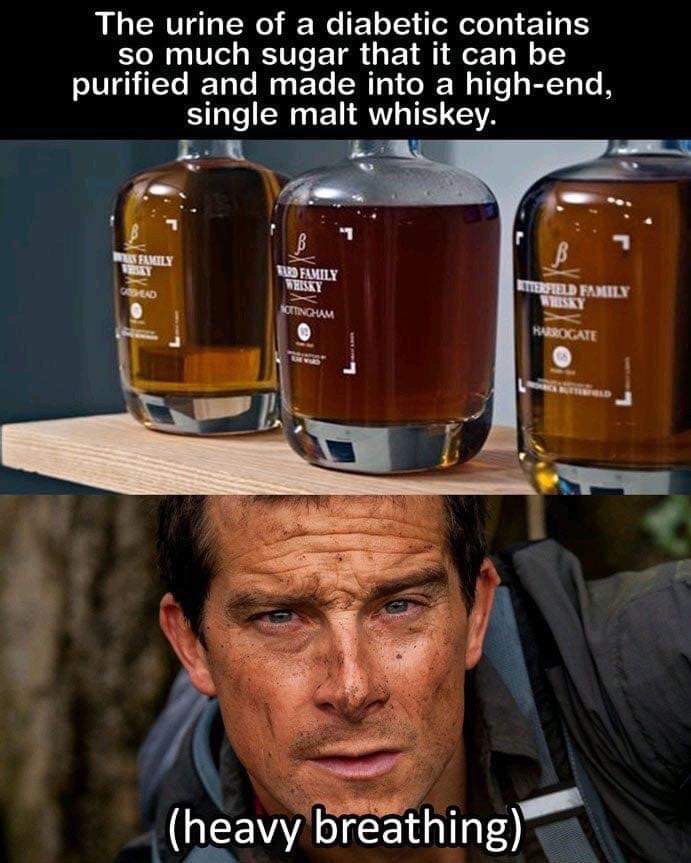 meme - piss memes - The urine of a diabetic contains so much sugar that it can be purified and made into a highend, single malt whiskey. Fits Ro Family Welsat Fadal Kutinquam heavy breathing