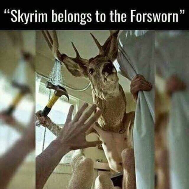 meme - skyrim forsworn meme - "Skyrim belongs to the Forsworn"