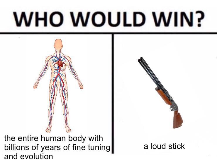 meme - 2meirl4meirl - Who Would Win? the entire human body with billions of years of fine tuning| and evolution a loud stick