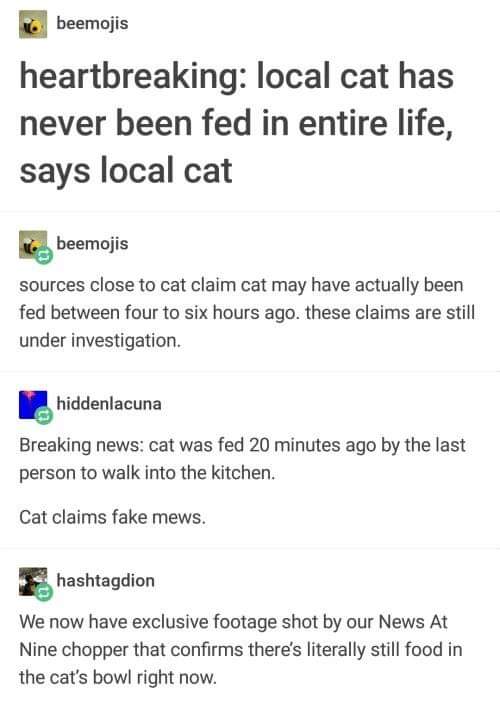 number - beemojis heartbreaking local cat has never been fed in entire life, says local cat beemojis sources close to cat claim cat may have actually been fed between four to six hours ago. these claims are still under investigation. hiddenlacuna Breaking