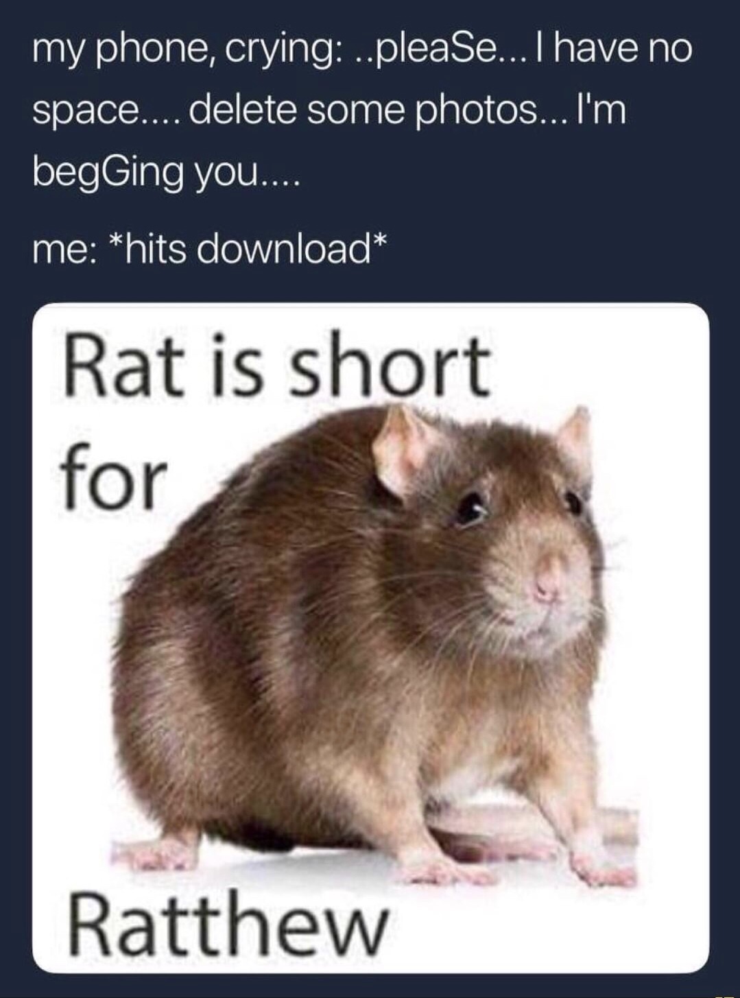 rat short for ratthew - my phone, crying ..pleaSe... I have no space.... delete some photos... I'm begGing you.... me hits download Rat is short for Ratthew