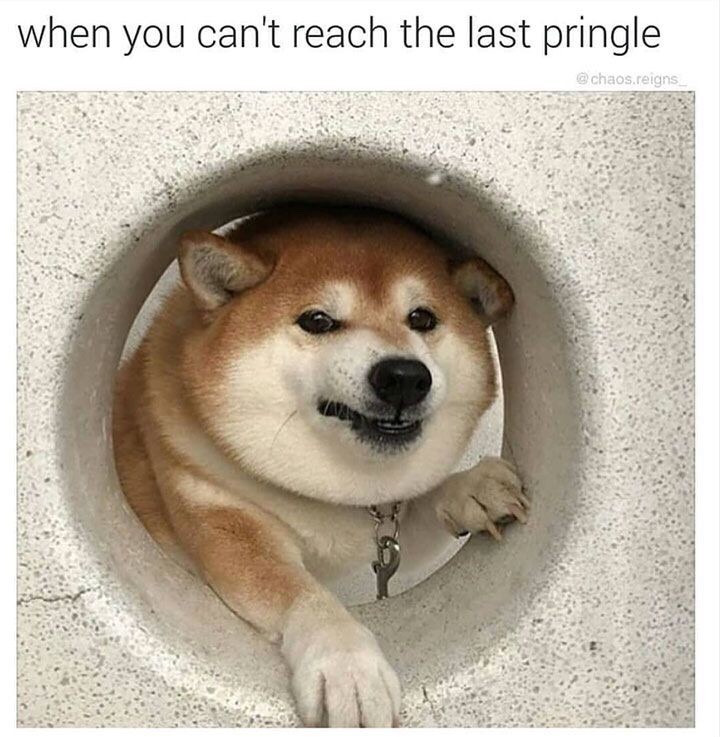 food memes - when you can't reach the last pringle .reigns