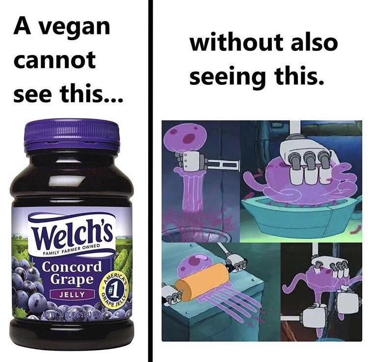 spongebob vegan jellyfish - A vegan cannot see this... without also seeing this. Welch's Family Farmer Owned Concord Grape Mer Jelly Netwi. 30 Oz M 875 L. 8800