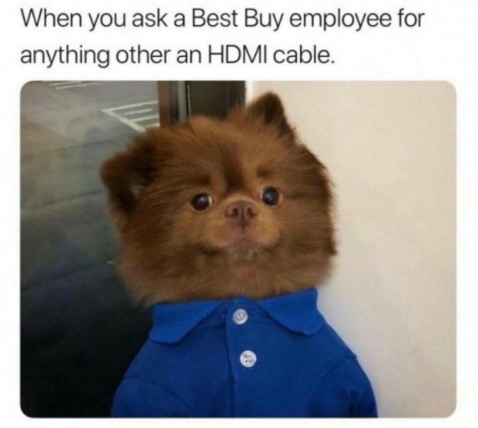 bertie bert the pom - When you ask a Best Buy employee for anything other an Hdmi cable.
