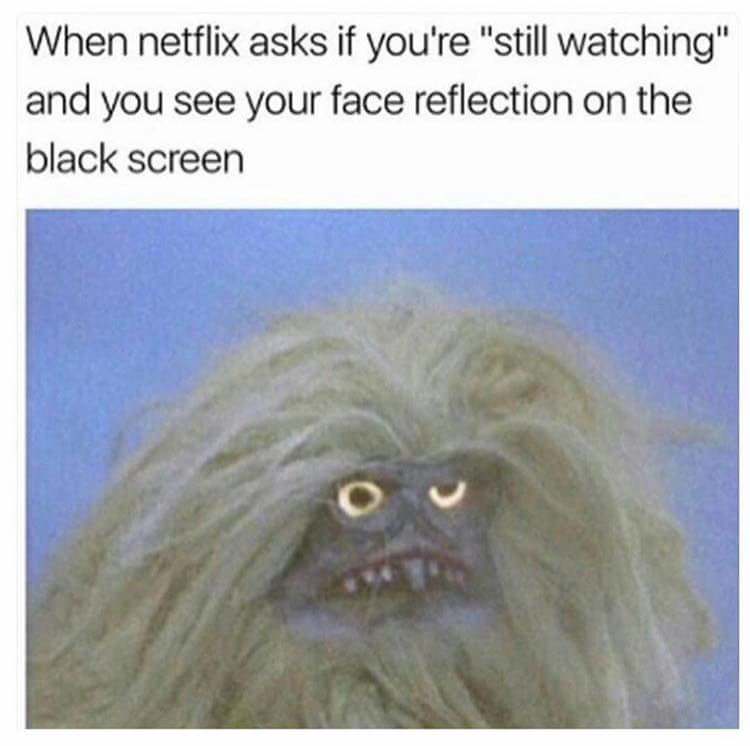privacy - When netflix asks if you're "still watching" and you see your face reflection on the black screen