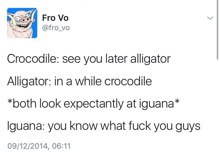 see you later alligator after while crocodile iguana - er Fro Vo Fro Vo Crocodile see you later alligator Alligator in a while crocodile both look expectantly at iguana Iguana you know what fuck you guys 09122014,