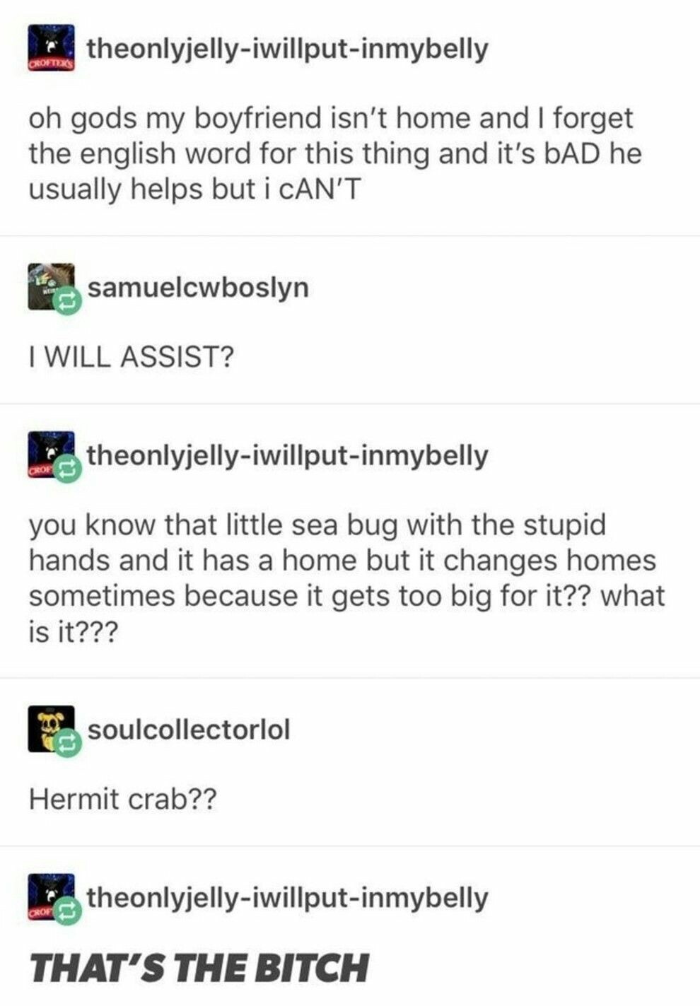 horny tumblr posts - theonlyjellyiwillputinmybelly oh gods my boyfriend isn't home and I forget the english word for this thing and it's bAD he usually helps but i Can'T samuelcwboslyn I Will Assist? theonlyjellyiwillputinmybelly you know that little sea 