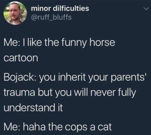 memes - just do - minor dilficulties Me I the funny horse cartoon Bojack you inherit your parents' trauma but you will never fully understand it Me haha the cops a cat
