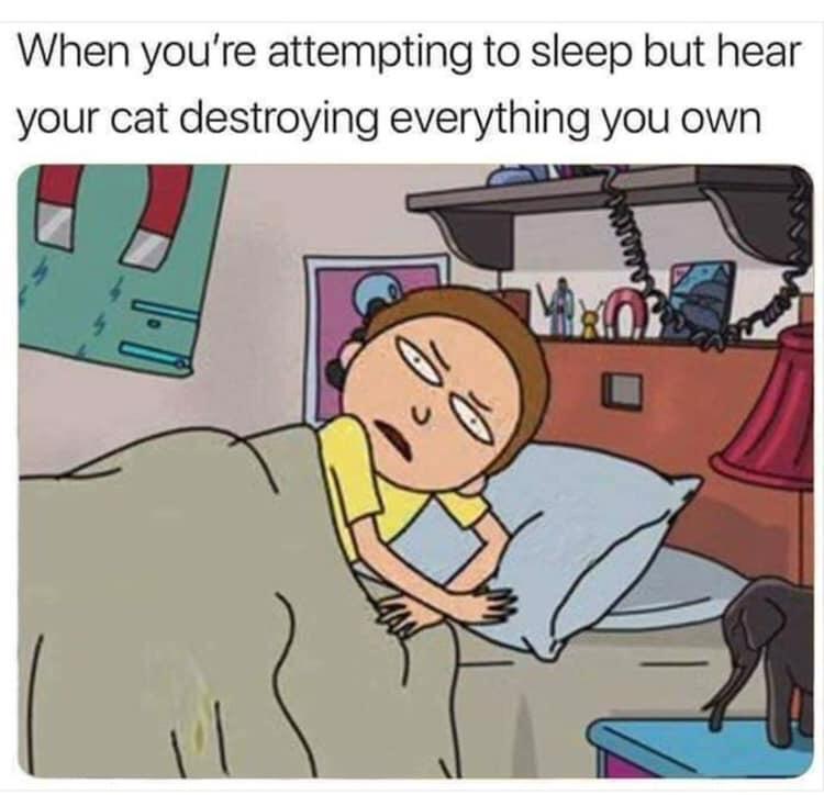 memes - cat destroys everything meme - When you're attempting to sleep but hear your cat destroying everything you own