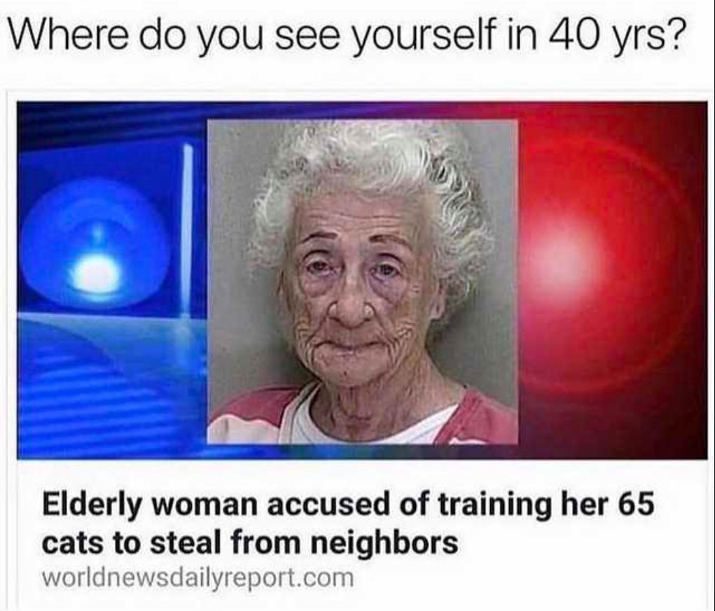 memes - do you see yourself in 40yrs - Where do you see yourself in 40 yrs? Elderly woman accused of training her 65 cats to steal from neighbors worldnewsdailyreport.com