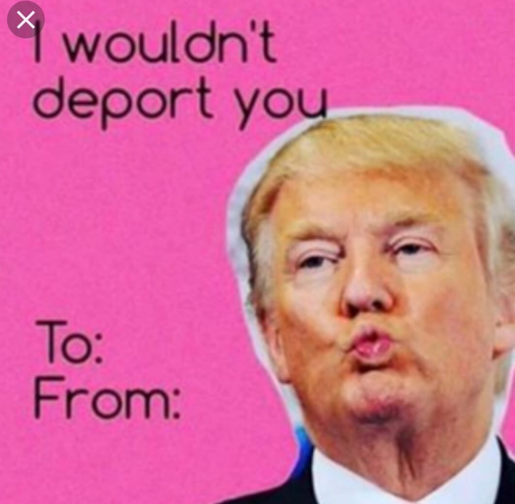 memes - happy valentines day meme - wouldn't deport you To From