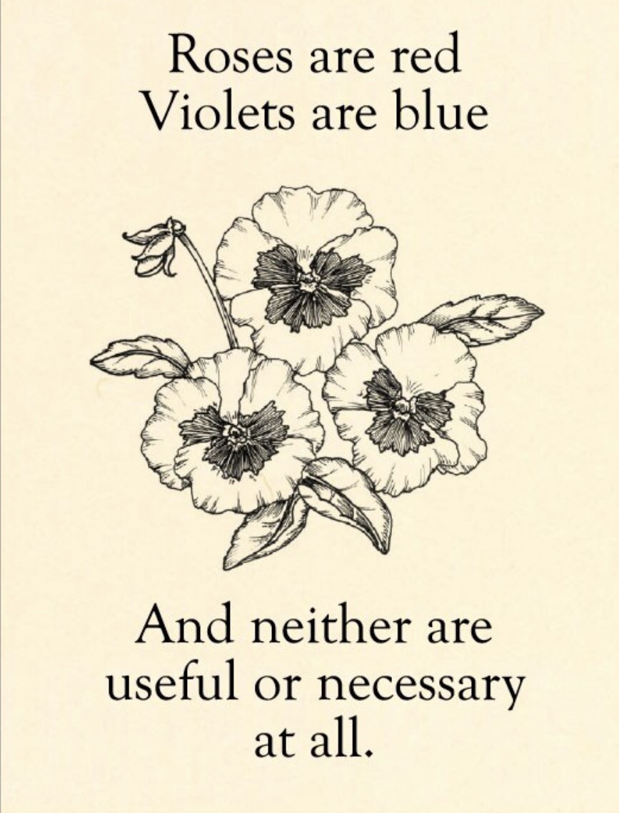 memes - puritan valentine's day card - Roses are red Violets are blue And neither are useful or necessary at all.
