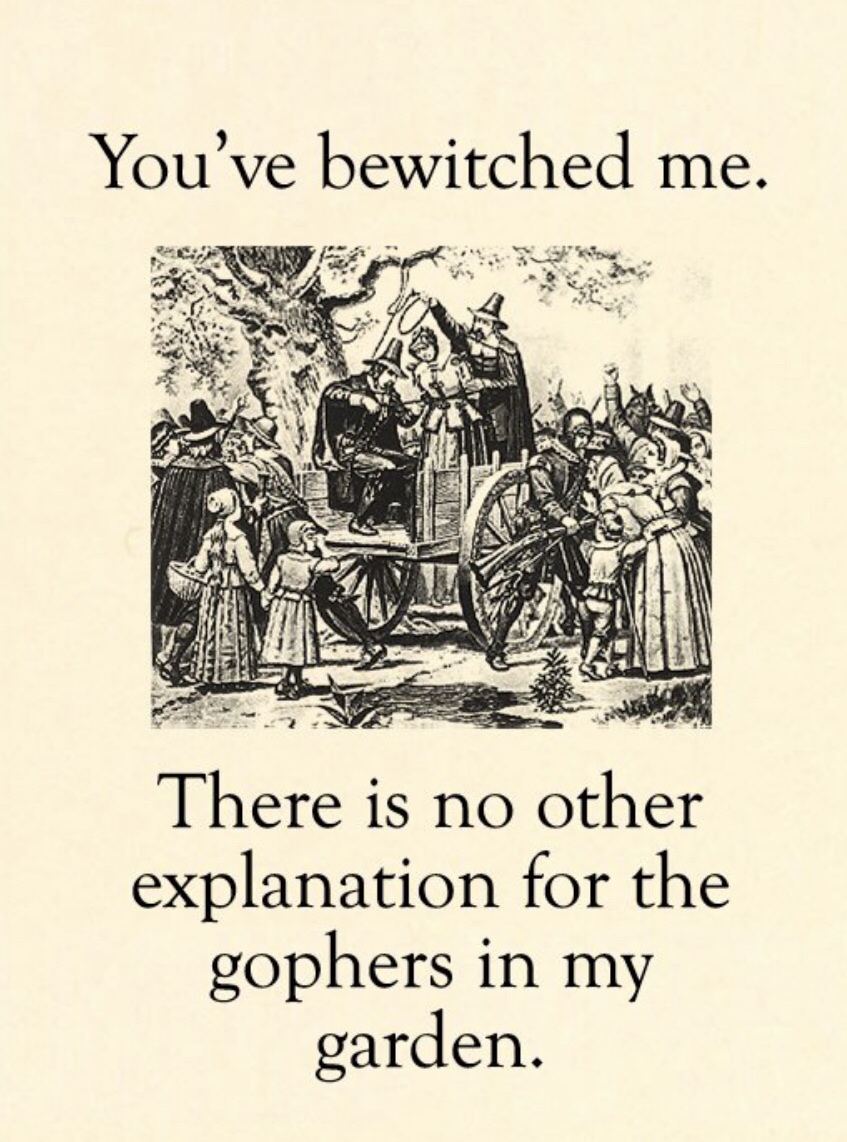 memes - puritan valentine's day cards - You've bewitched me. There is no other explanation for the gophers in my garden.